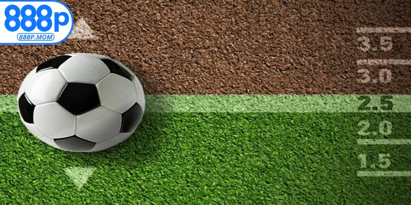 Lý do người chơi nên soi kèo tài xỉu là gì