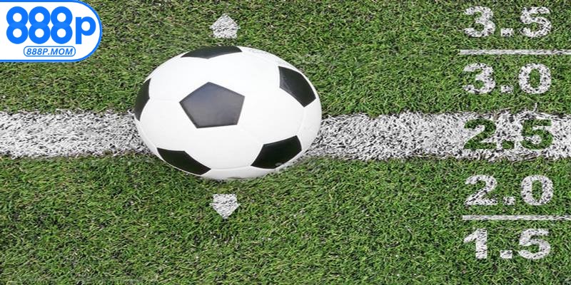 Bật mí kinh nghiệm soi kèo tài xỉu cực hay nhưng hiệu quả